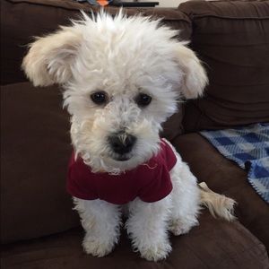 Meet your Posher, Hailey